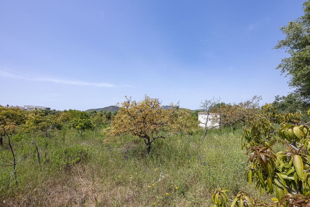 Se vende Terreno Rustico  en Costa Del Sol, Málaga, España