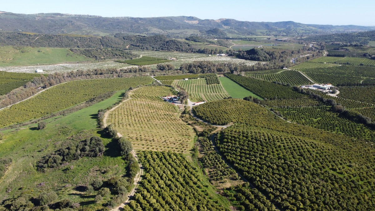 Se vende Terreno Rustico  en Costa Del Sol, Málaga, España