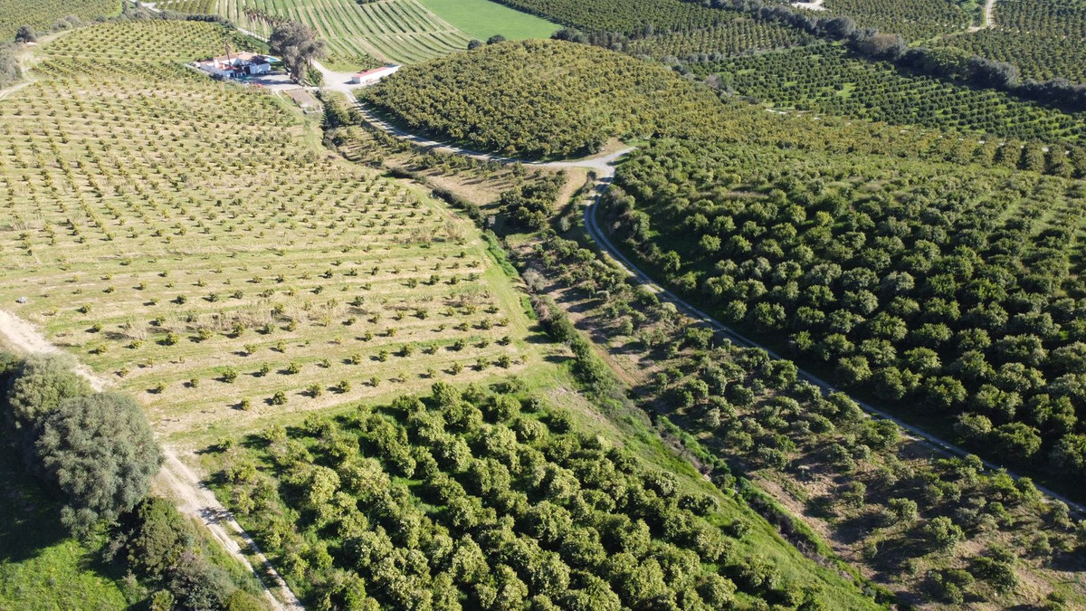 Se vende Terreno Rustico  en Costa Del Sol, Málaga, España