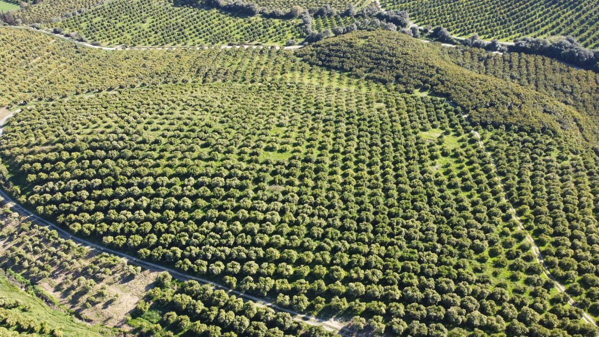 Se vende Terreno Rustico  en Costa Del Sol, Málaga, España