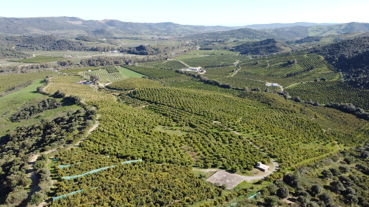 Se vende Terreno Rustico  en Costa Del Sol, Málaga, España