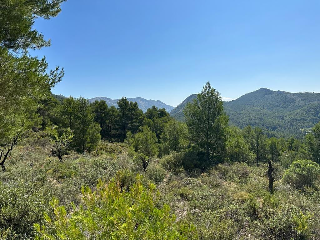Se vende Finca - Cortijo de 2 dormitorios en Costa Blanca, Alicante, España