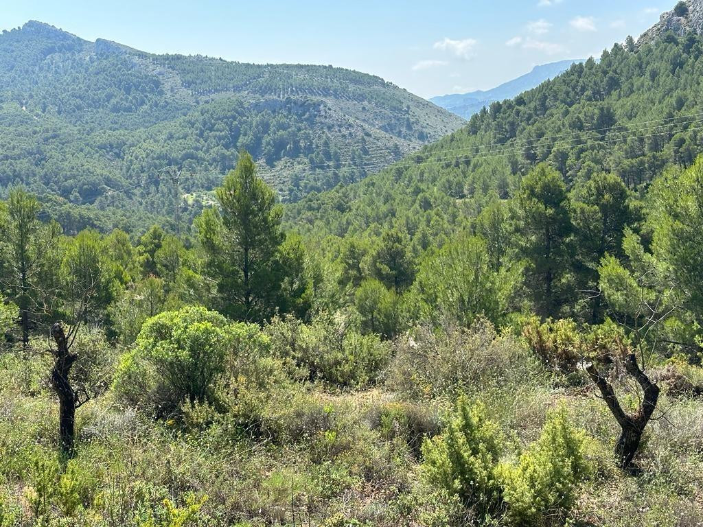 Se vende Finca - Cortijo de 2 dormitorios en Costa Blanca, Alicante, España