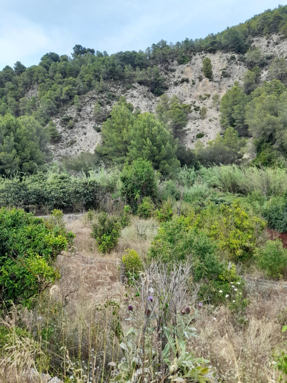 Se vende Terreno Rustico  en Costa Blanca, Alicante, España