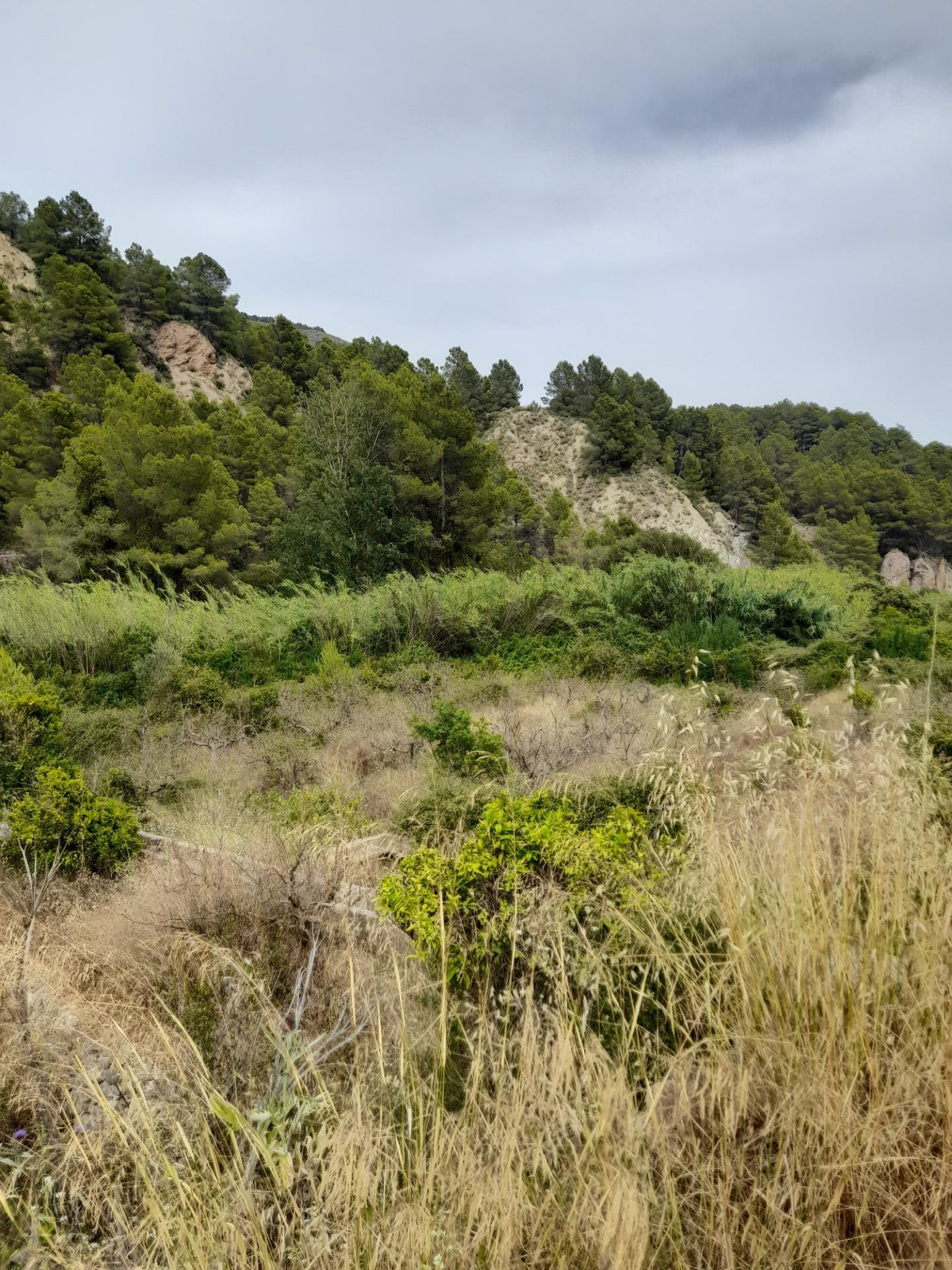 Se vende Terreno Rustico  en Costa Blanca, Alicante, España