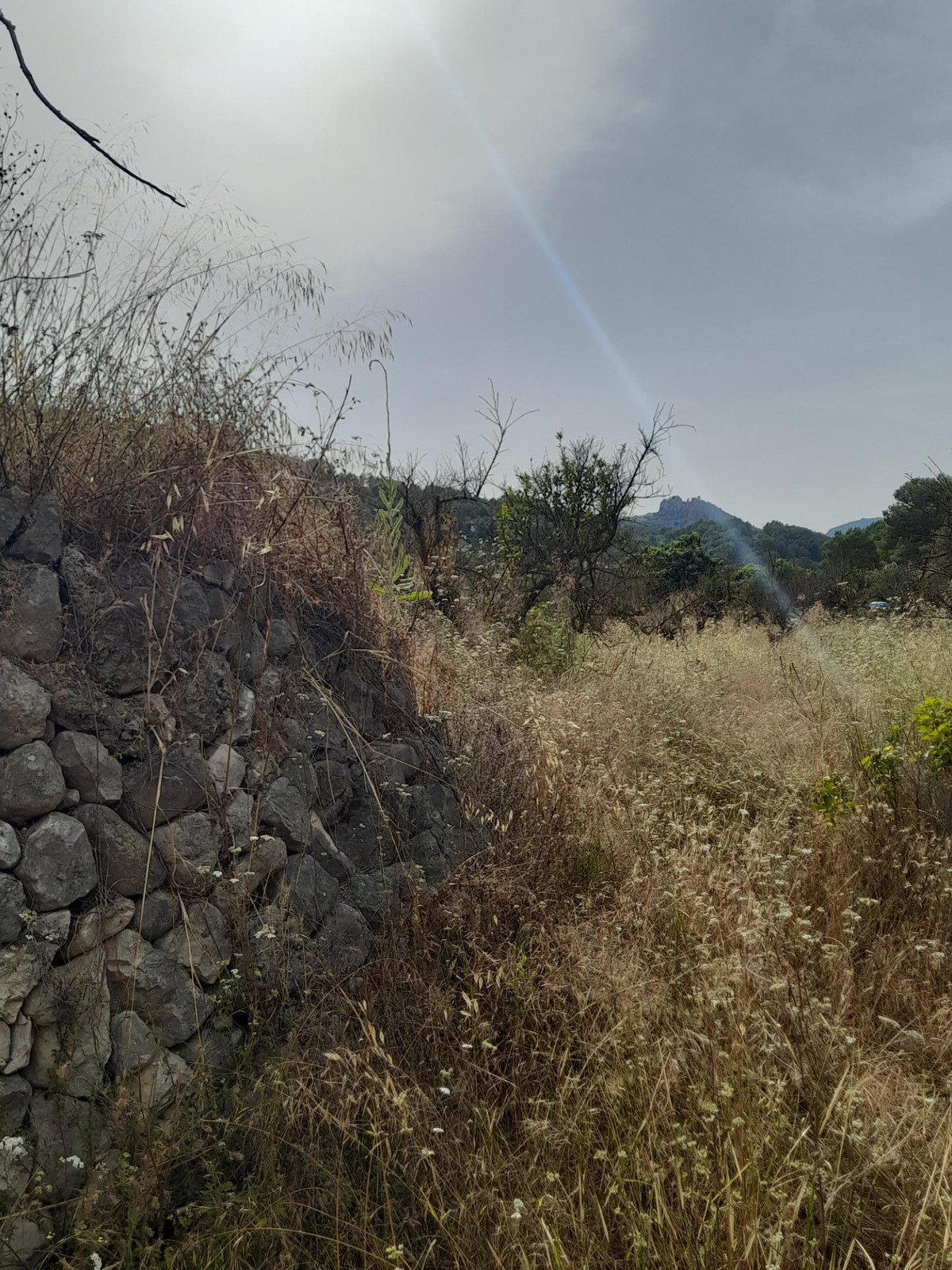 Se vende Terreno Rustico  en Costa Blanca, Alicante, España