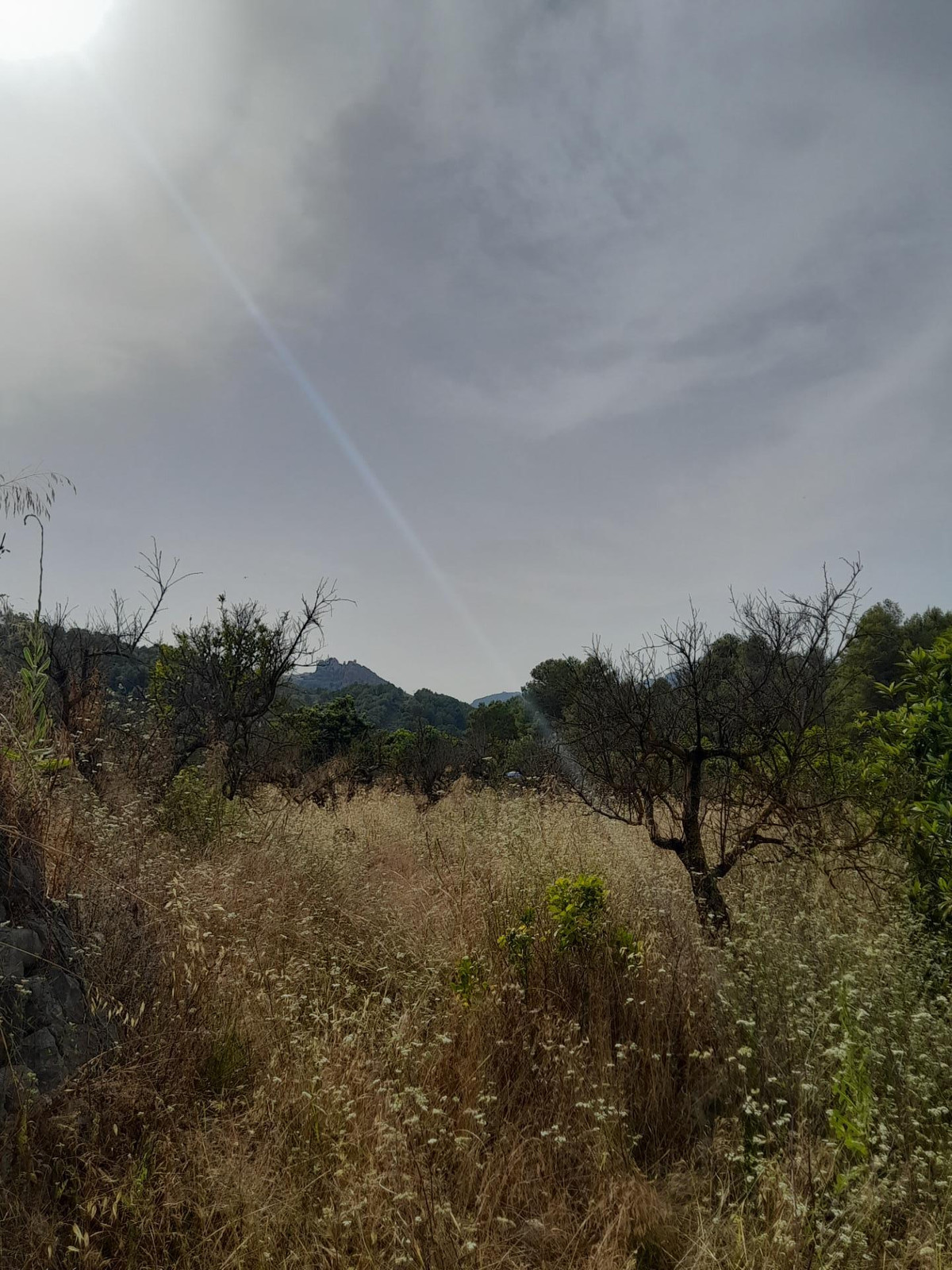Se vende Terreno Rustico  en Costa Blanca, Alicante, España