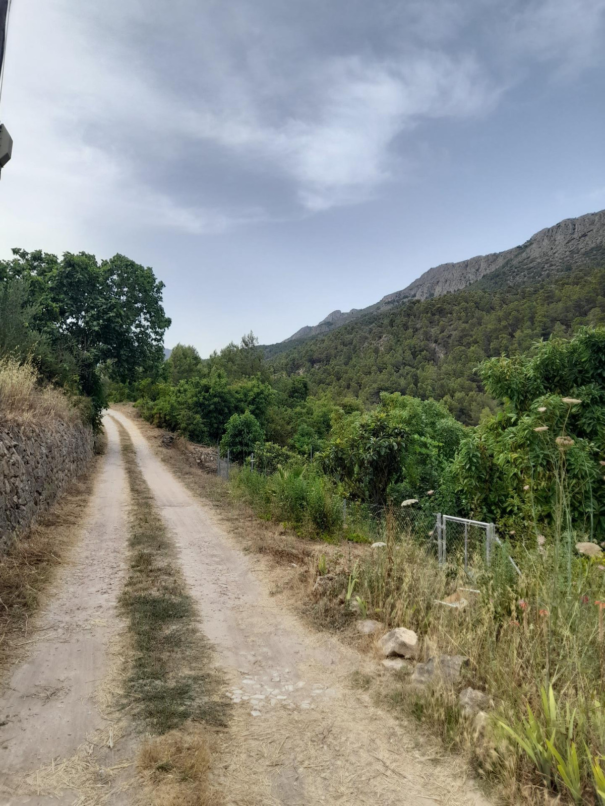 Se vende Terreno Rustico  en Costa Blanca, Alicante, España