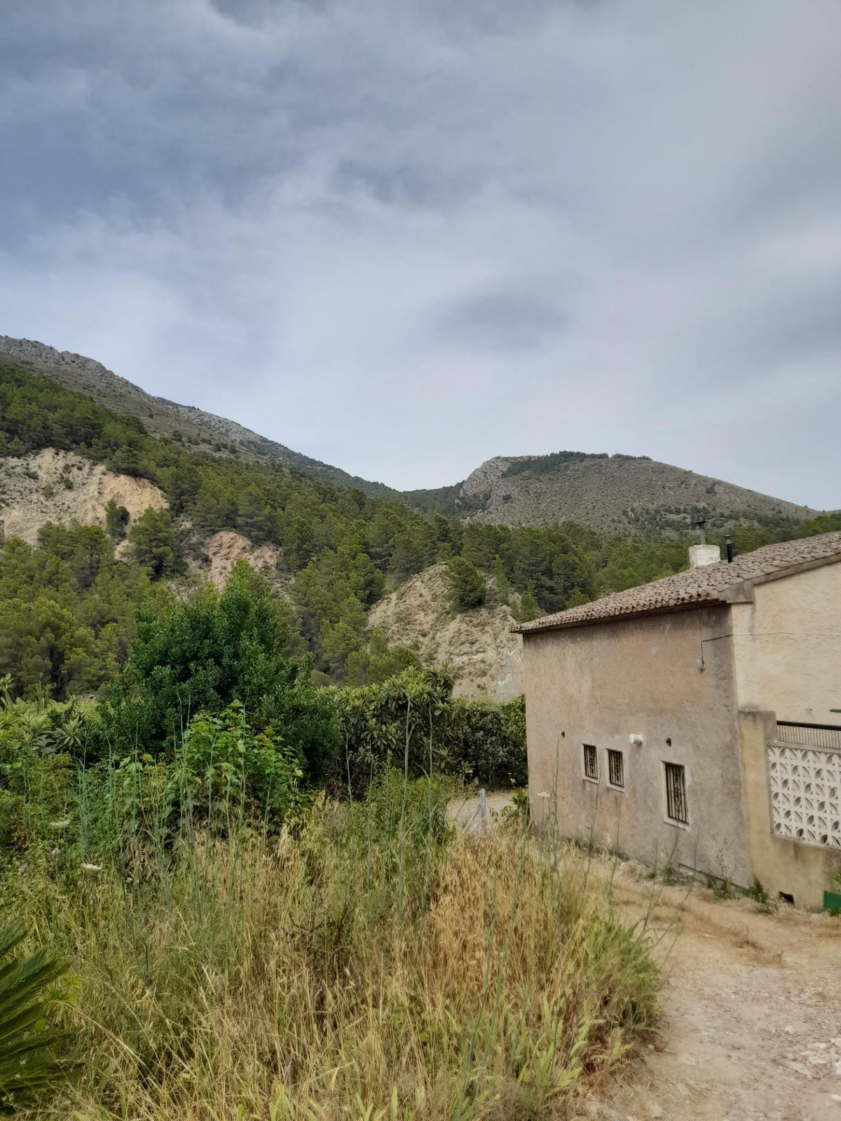 Se vende Terreno Rustico  en Costa Blanca, Alicante, España