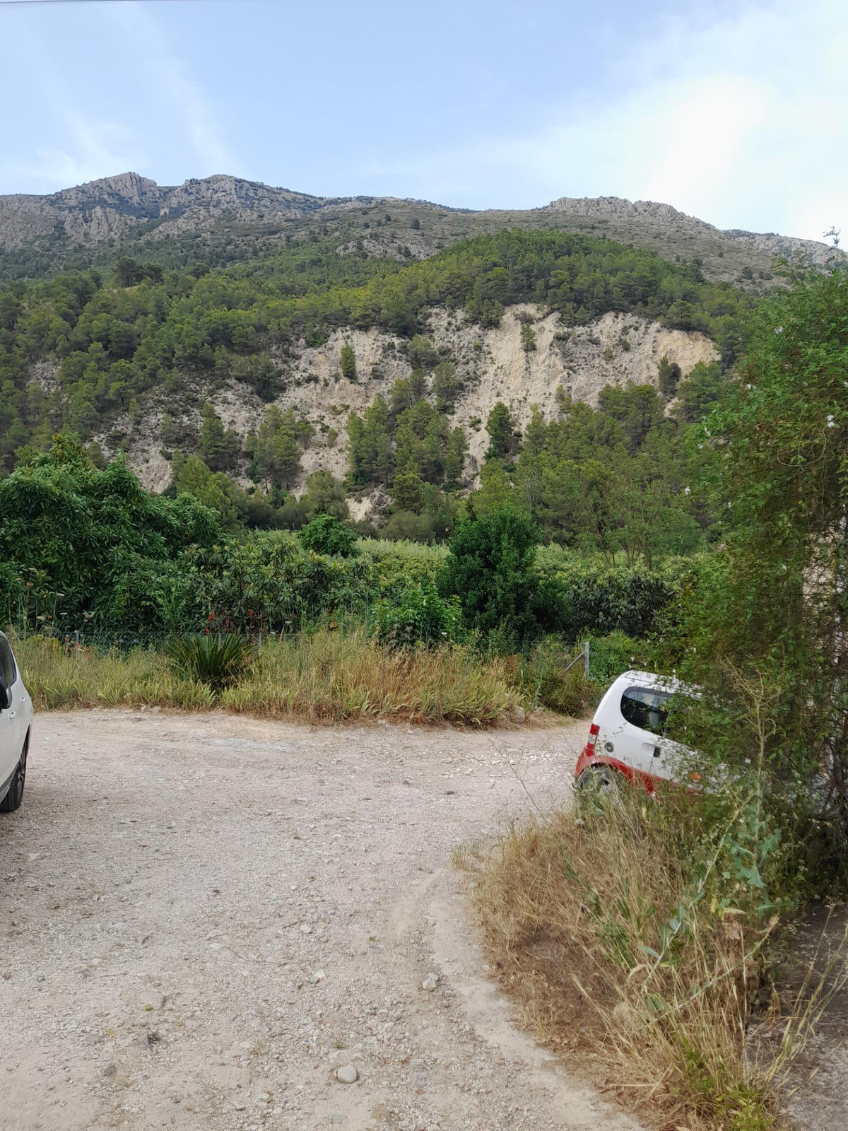 Se vende Terreno Rustico  en Costa Blanca, Alicante, España