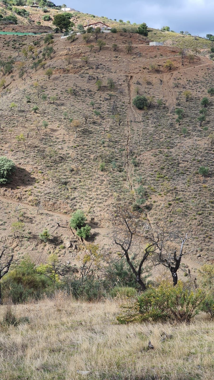 Se vende Finca - Cortijo de 5 dormitorios en Costa Del Sol, Málaga, España