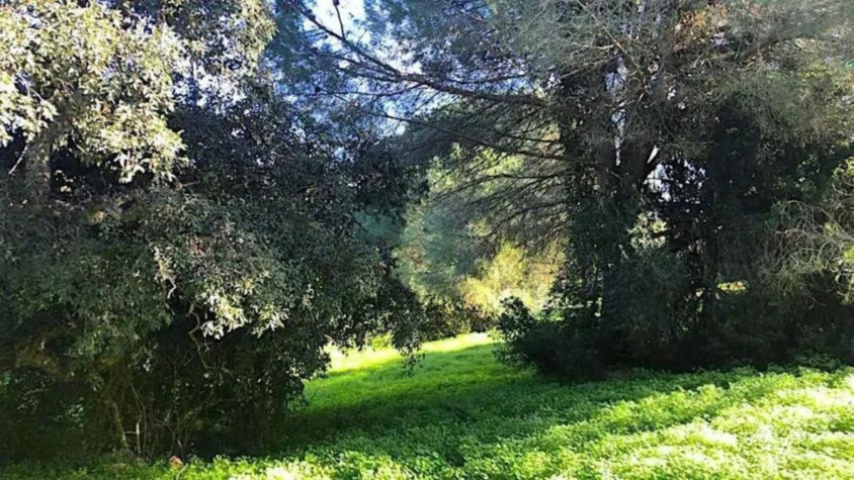 Se vende Terreno Urbano  en Costa Del Sol, Cadiz, España