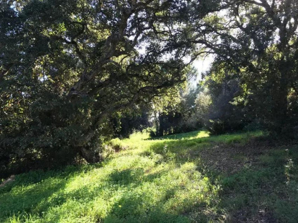 Se vende Terreno Urbano  en Costa Del Sol, Cadiz, España