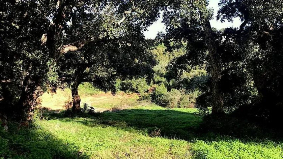 Se vende Terreno Urbano  en Costa Del Sol, Cadiz, España