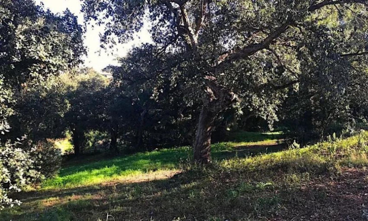 Se vende Terreno Urbano  en Costa Del Sol, Cadiz, España