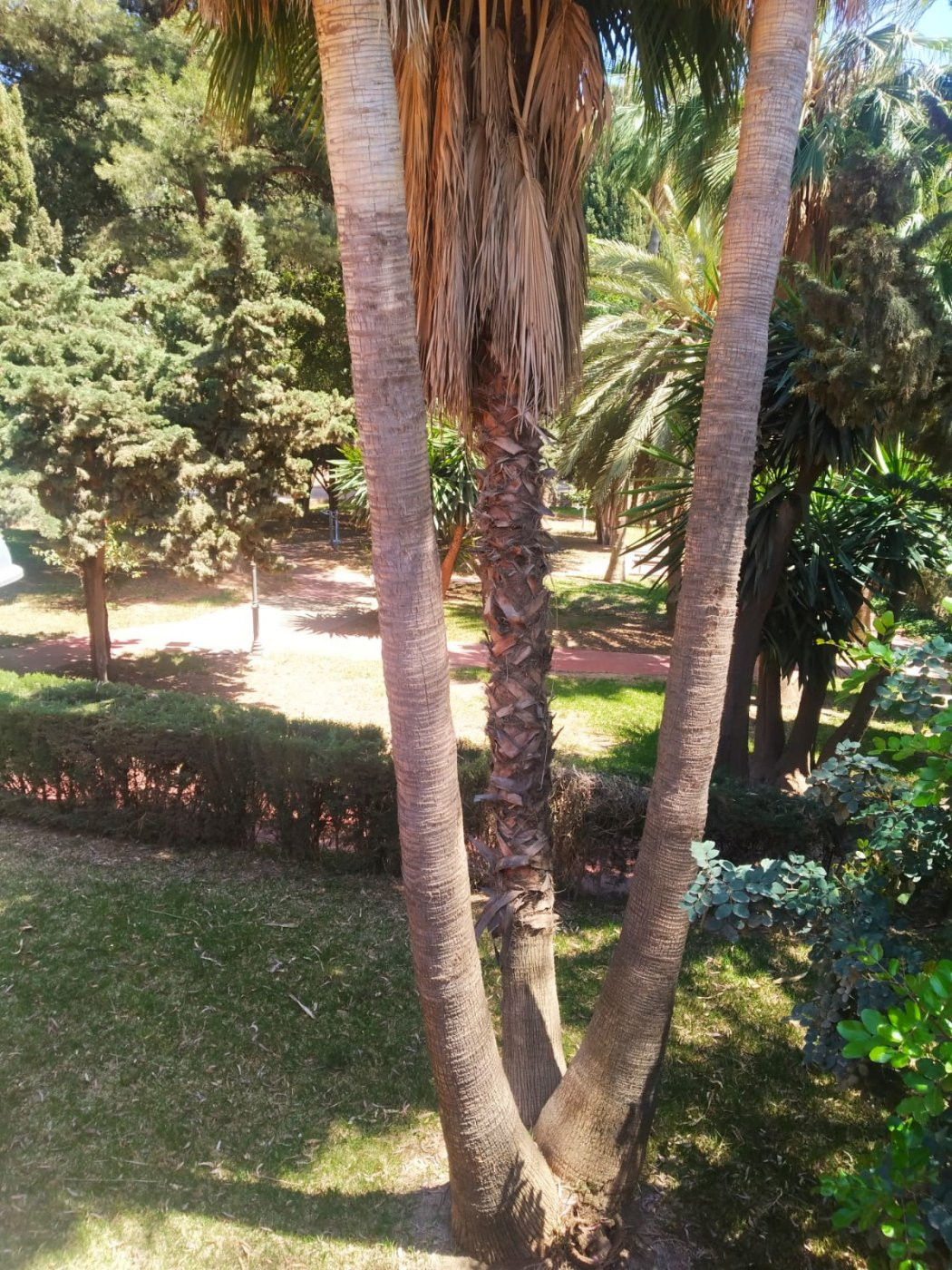 Se vende Villa - Chalet de 4 dormitorios en Málaga Ciudad, Málaga, España