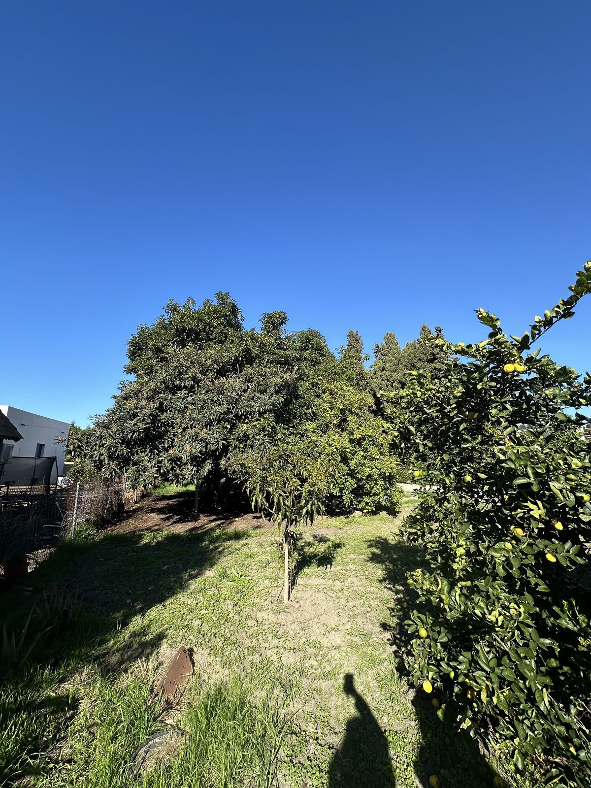 3 Bed Townhouse for sale in San Pedro De Alcántara Costa Del Sol, Málaga, Spain
