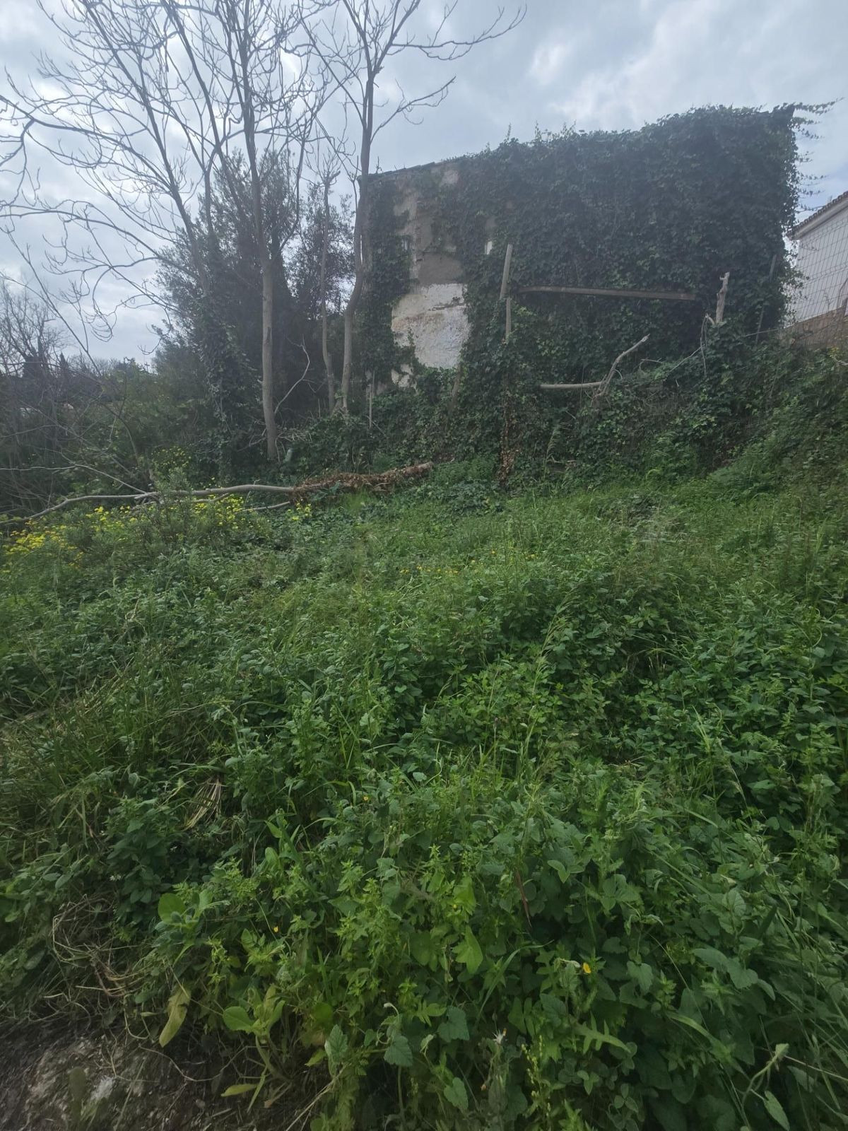 Se vende Terreno Urbano  en Málaga Ciudad, Málaga, España