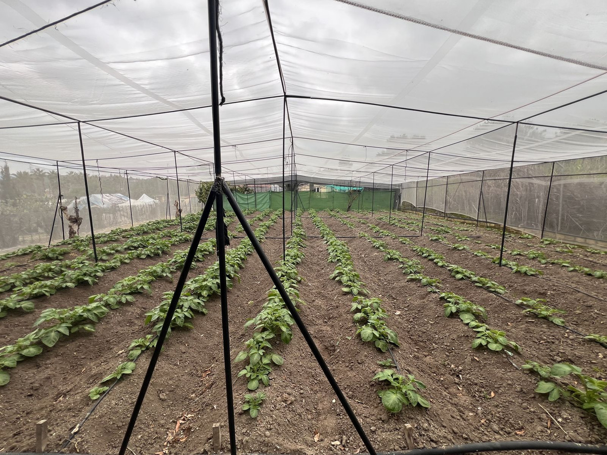 Se vende Finca - Cortijo de 2 dormitorios en Málaga Ciudad, Málaga, España