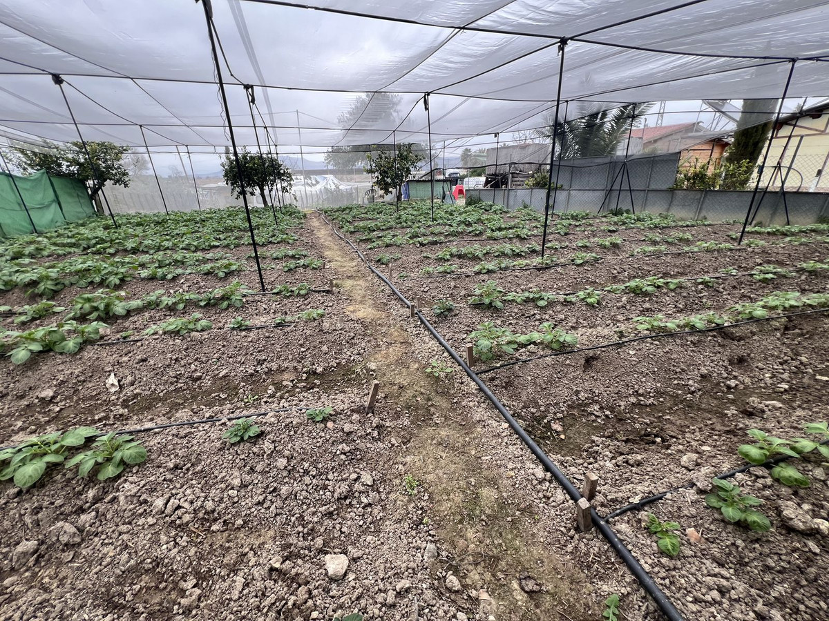 Se vende Finca - Cortijo de 2 dormitorios en Málaga Ciudad, Málaga, España