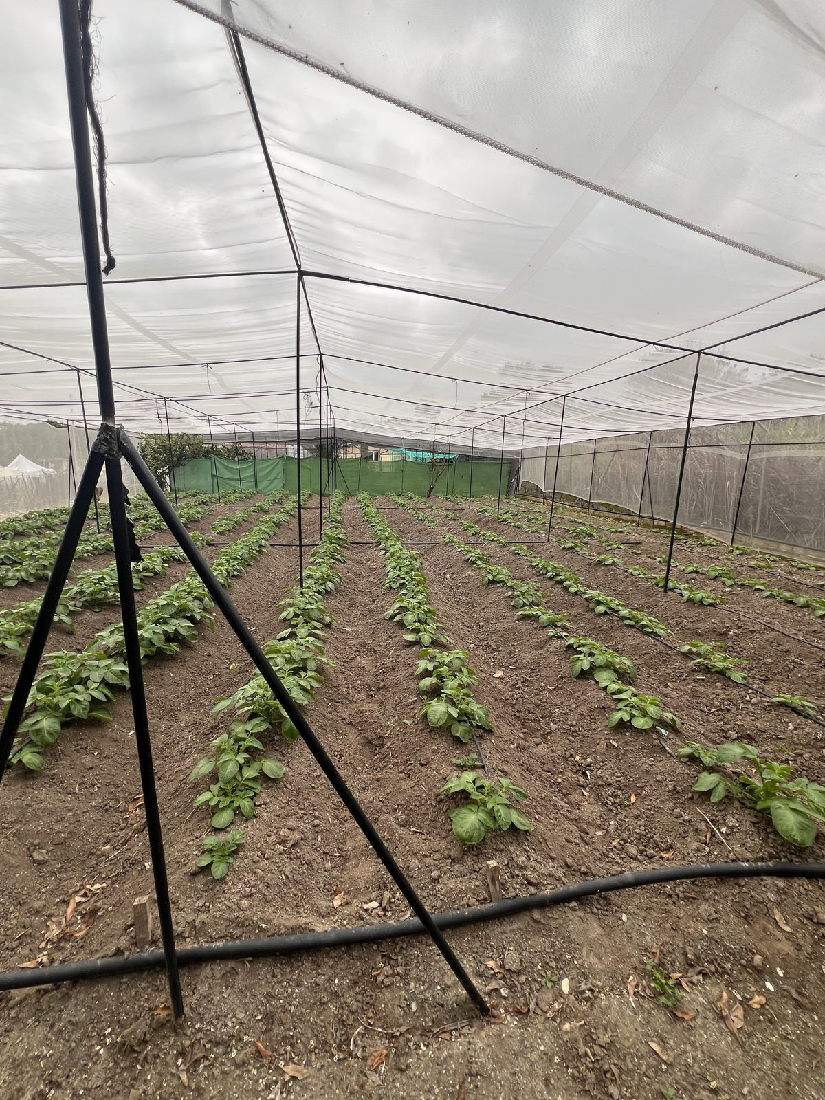 Se vende Finca - Cortijo de 2 dormitorios en Málaga Ciudad, Málaga, España