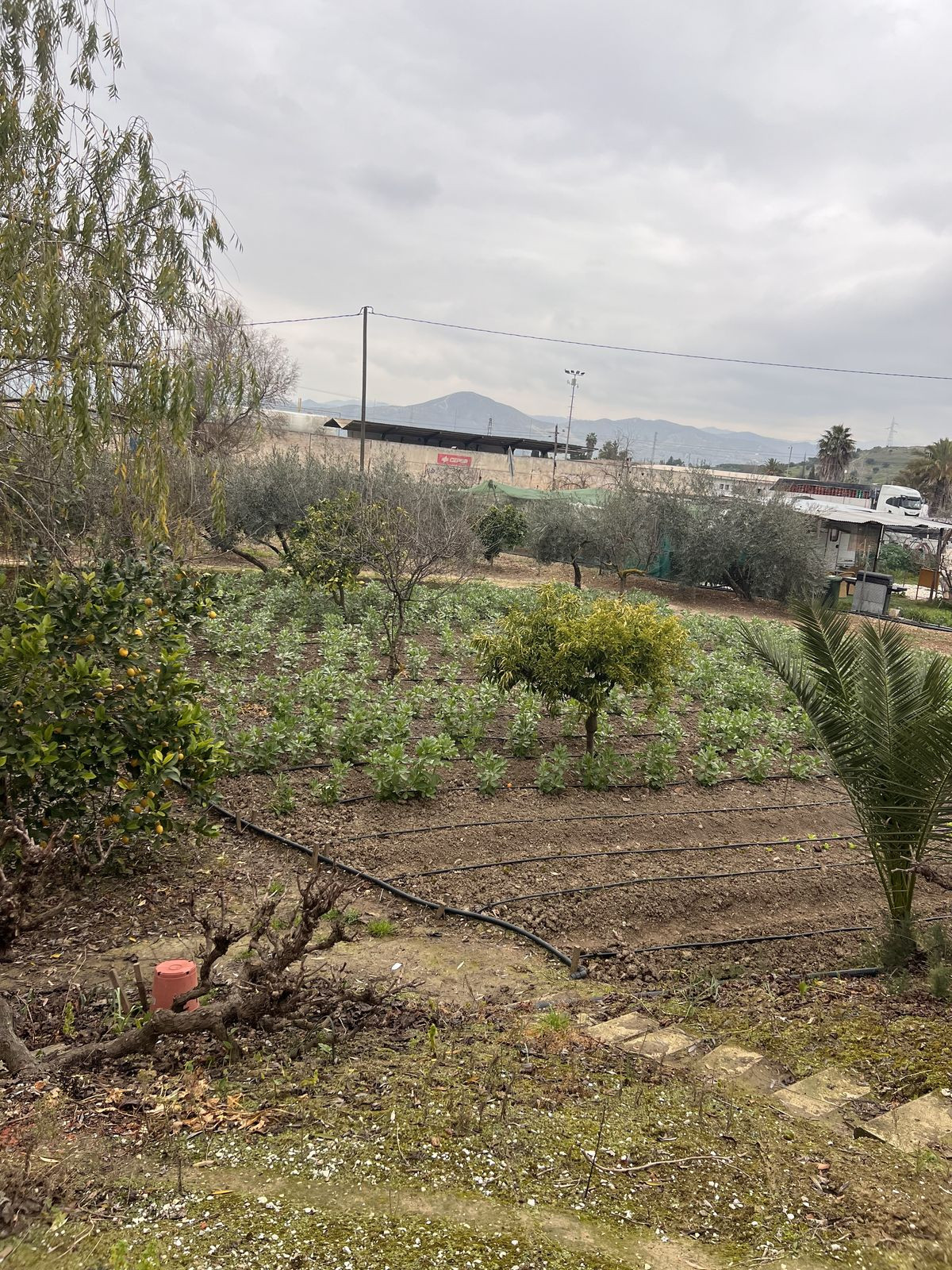 Se vende Finca - Cortijo de 2 dormitorios en Málaga Ciudad, Málaga, España