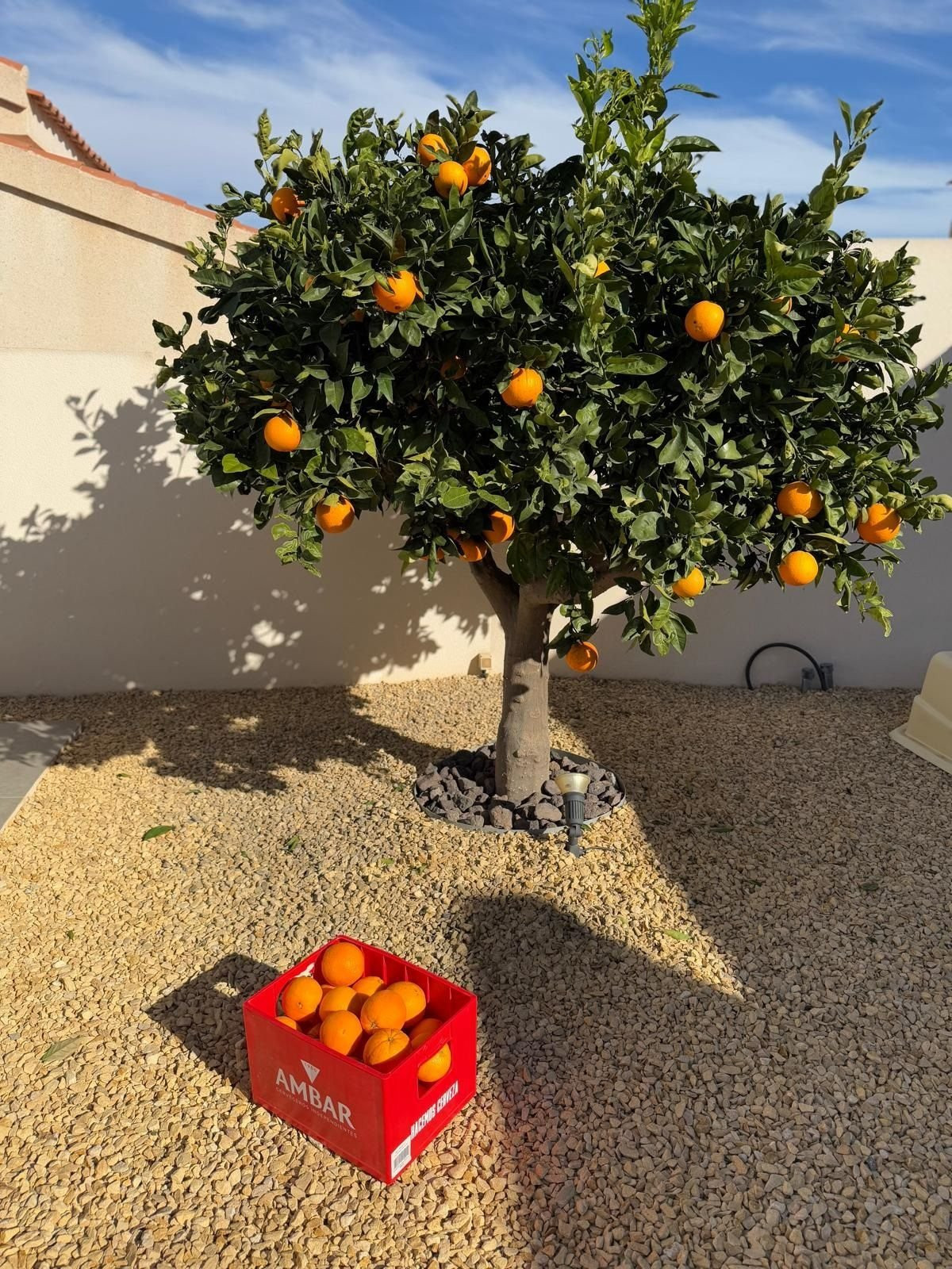 2 Bed Townhouse for sale in Ciudad Quesada Costa Blanca, Alicante, Spain