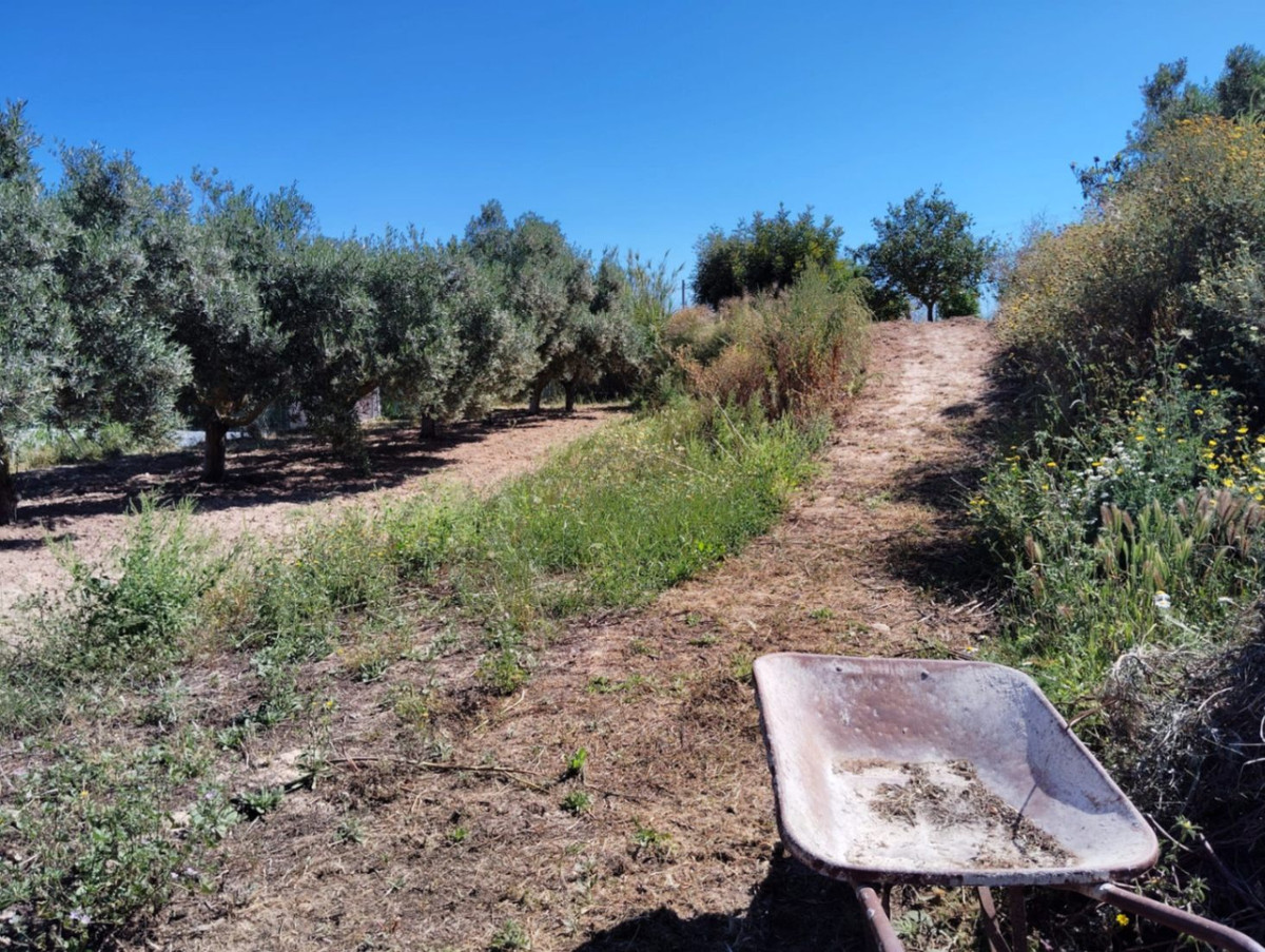 Se vende Finca - Cortijo de 3 dormitorios en Costa Blanca, Alicante, España
