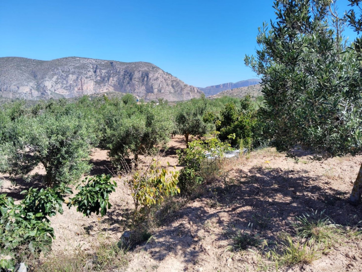 Se vende Finca - Cortijo de 3 dormitorios en Costa Blanca, Alicante, España