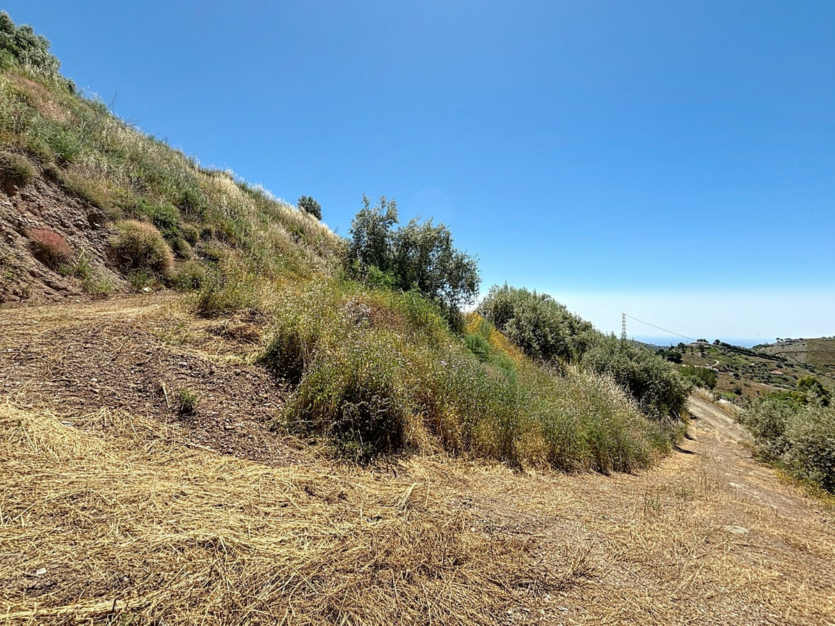 Se vende Terreno Rustico de 1 dormitorios en Costa Del Sol East, Málaga, España