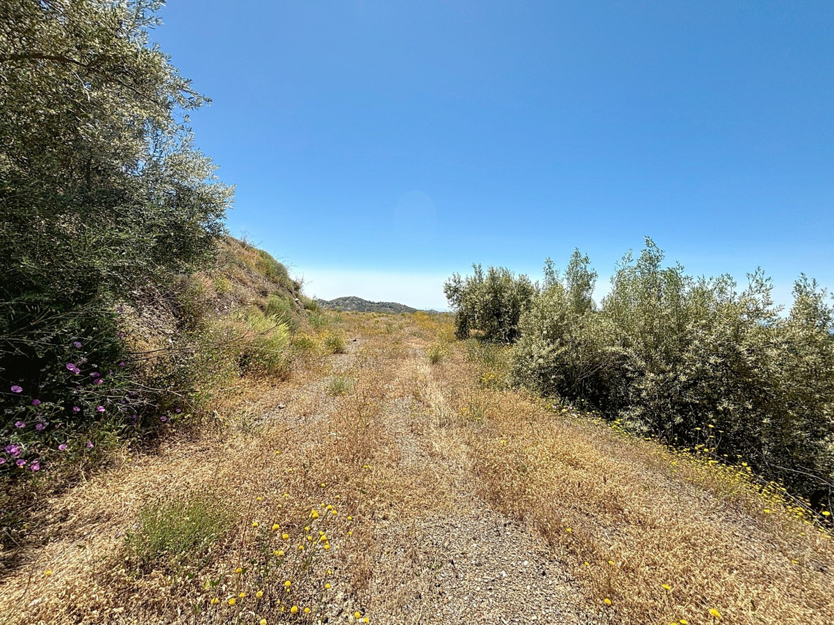 Se vende Terreno Rustico de 1 dormitorios en Costa Del Sol East, Málaga, España