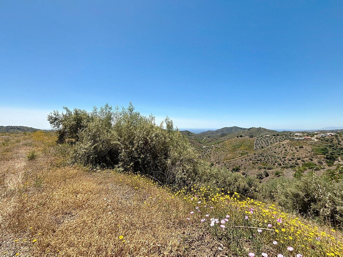 Se vende Terreno Rustico de 1 dormitorios en Costa Del Sol East, Málaga, España