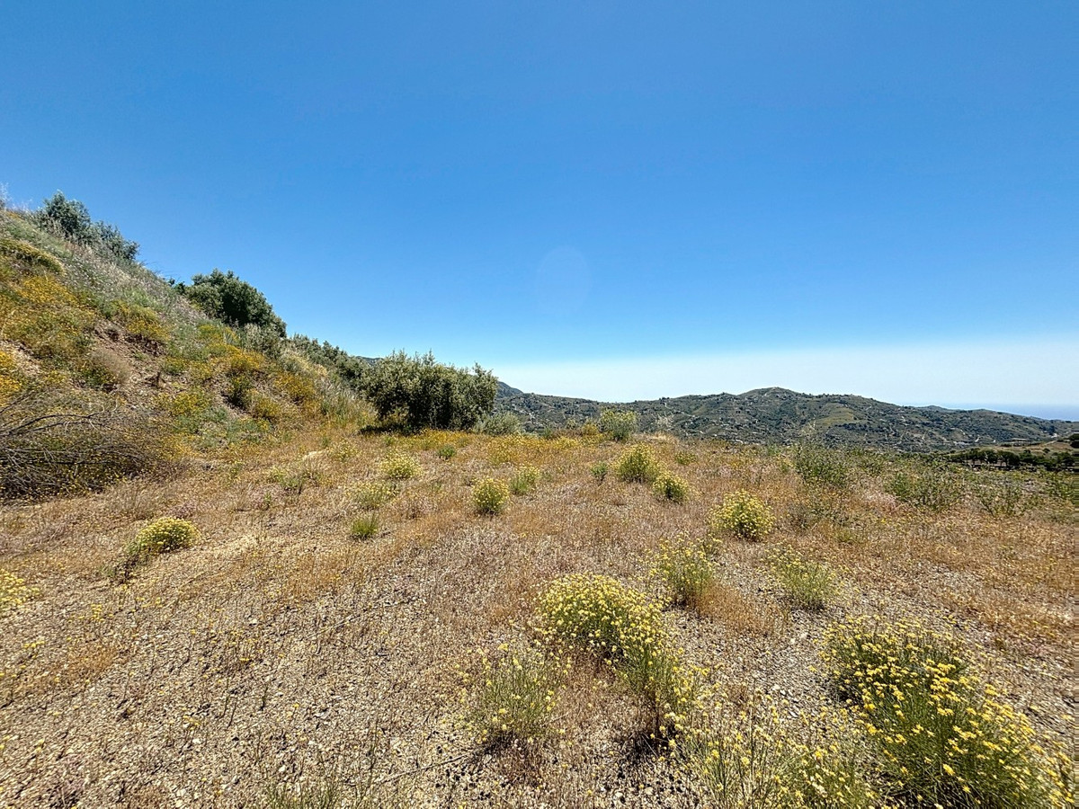 Se vende Terreno Rustico de 1 dormitorios en Costa Del Sol East, Málaga, España