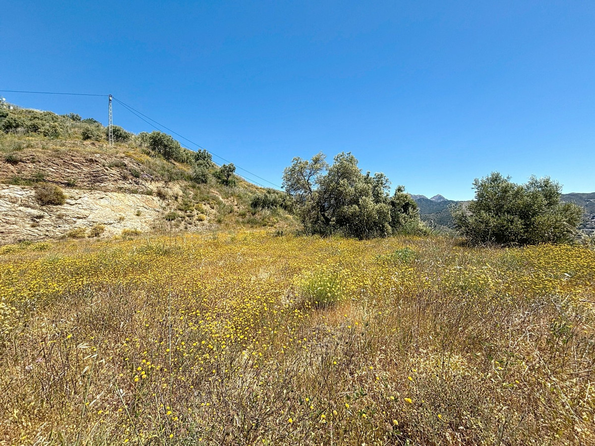 Se vende Terreno Rustico de 1 dormitorios en Costa Del Sol East, Málaga, España