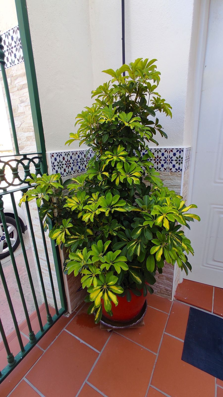 Se vende Villa - Chalet de 3 dormitorios en Costa Del Sol, Málaga, España
