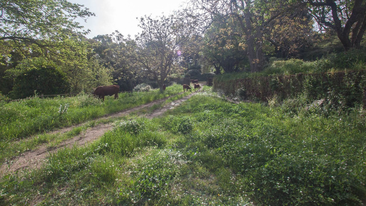 Se vende Finca - Cortijo de 3 dormitorios en Costa Del Sol, Málaga, España