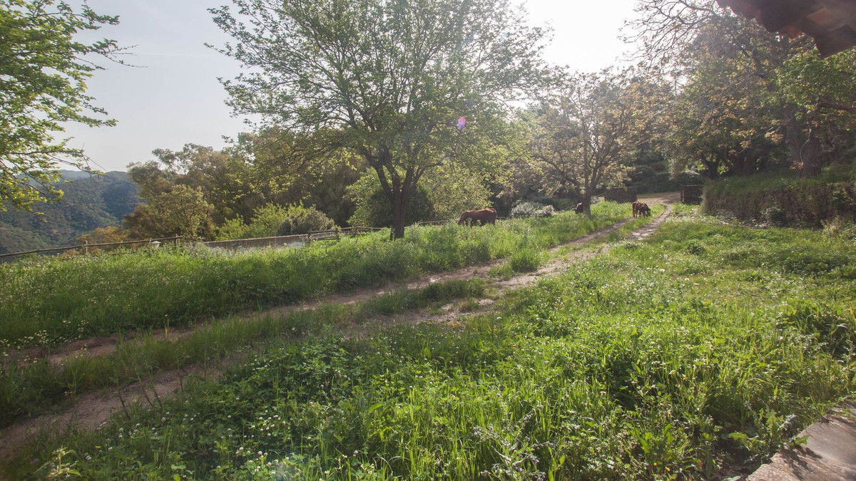 Se vende Finca - Cortijo de 3 dormitorios en Costa Del Sol, Málaga, España