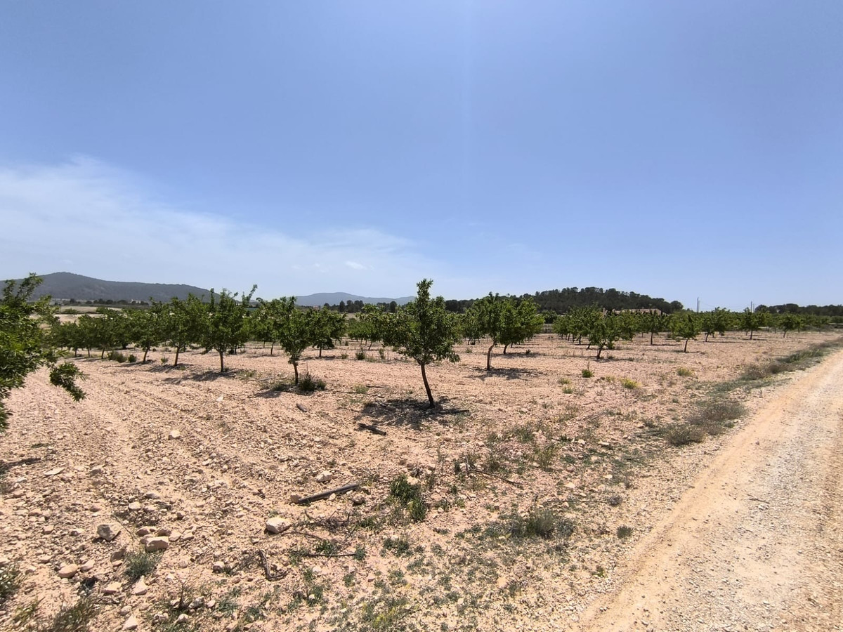 Se vende Terreno Rustico  en Costa Blanca, Alicante, España