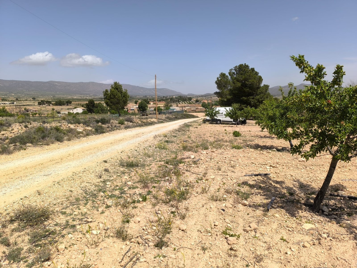 Se vende Terreno Rustico  en Costa Blanca, Alicante, España