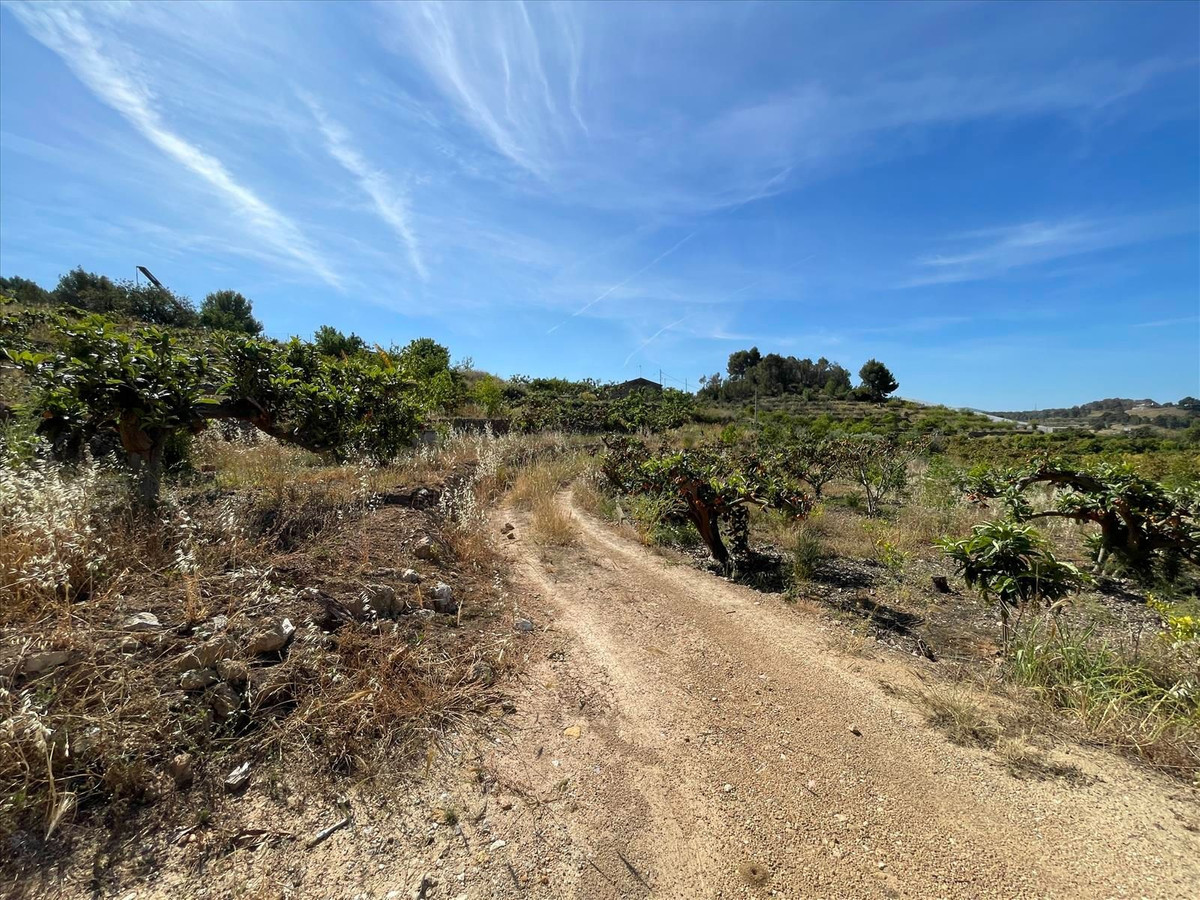 Se vende Terreno Rustico  en Costa Blanca, Alicante, España