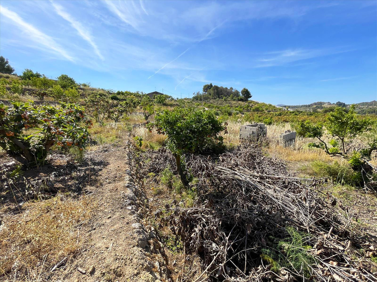 Se vende Terreno Rustico  en Costa Blanca, Alicante, España