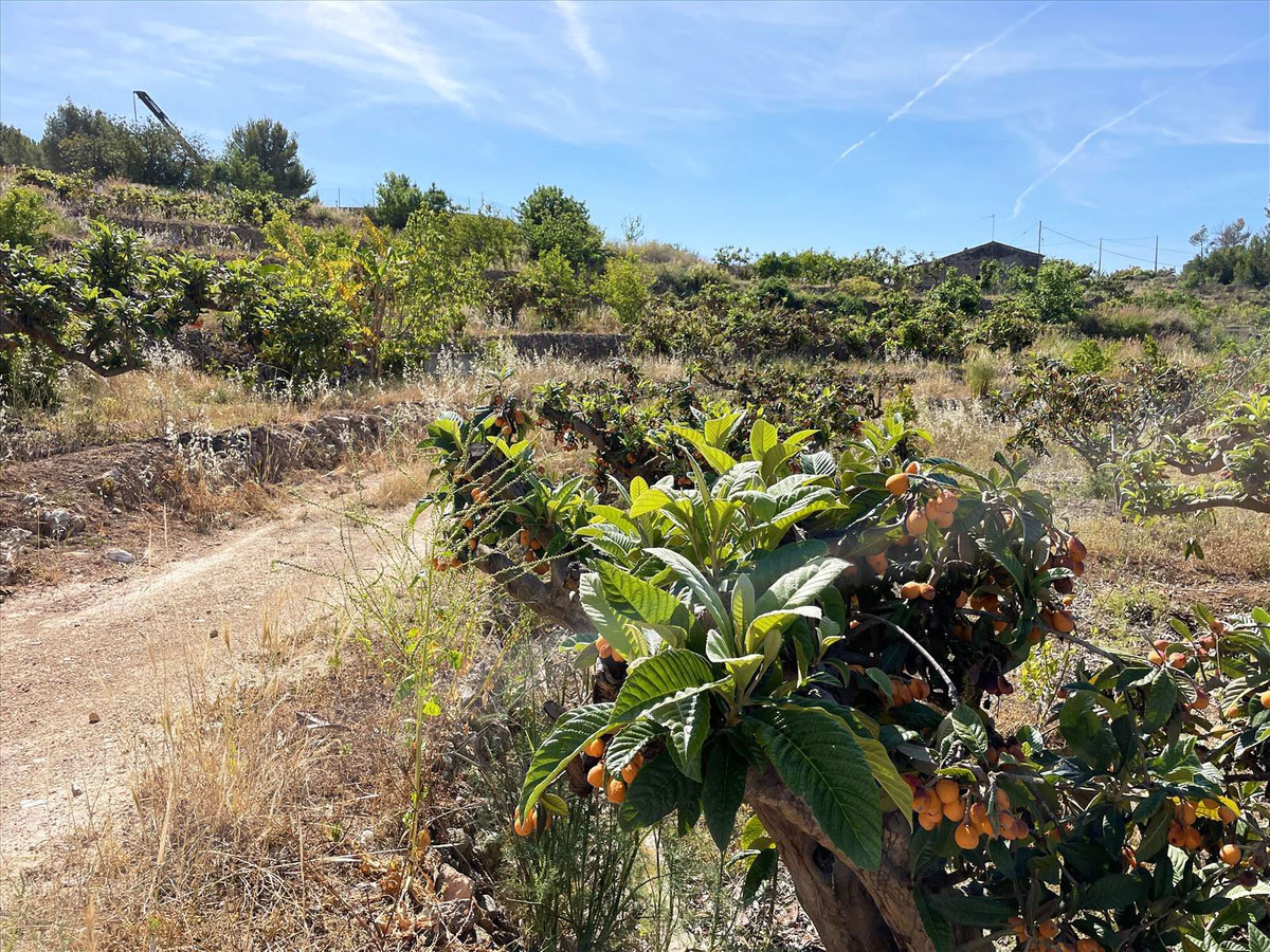 Se vende Terreno Rustico  en Costa Blanca, Alicante, España