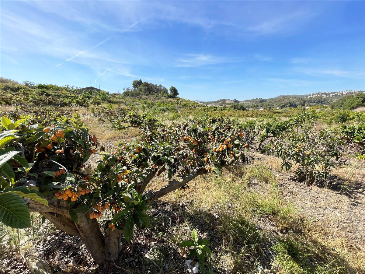 Se vende Terreno Rustico  en Costa Blanca, Alicante, España
