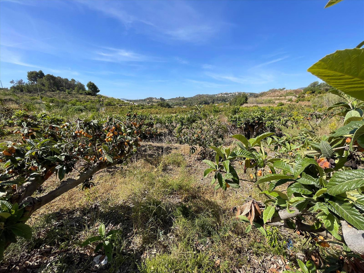 Se vende Terreno Rustico  en Costa Blanca, Alicante, España