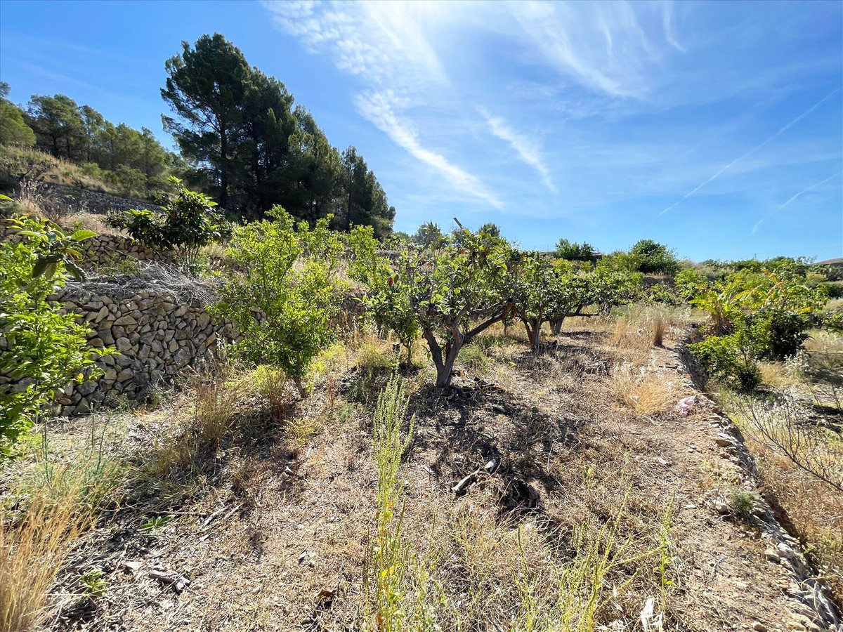 Se vende Terreno Rustico  en Costa Blanca, Alicante, España