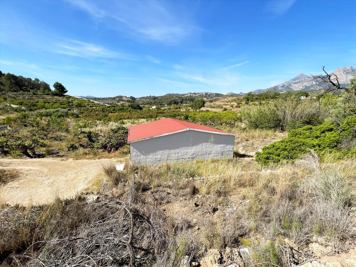 Se vende Terreno Rustico  en Costa Blanca, Alicante, España