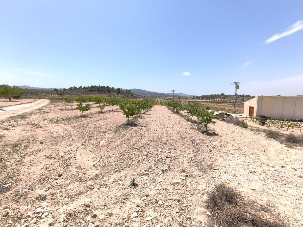 Se vende Terreno Rustico  en Costa Blanca, Alicante, España