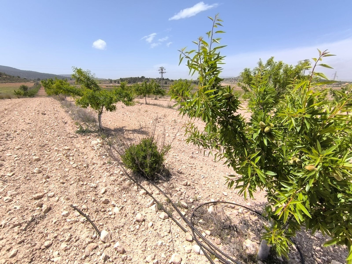 Se vende Terreno Rustico  en Costa Blanca, Alicante, España