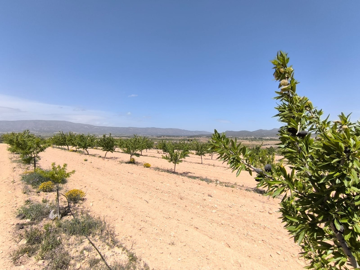 Plots for sale in Monóvar Costa Blanca, Alicante, Spain