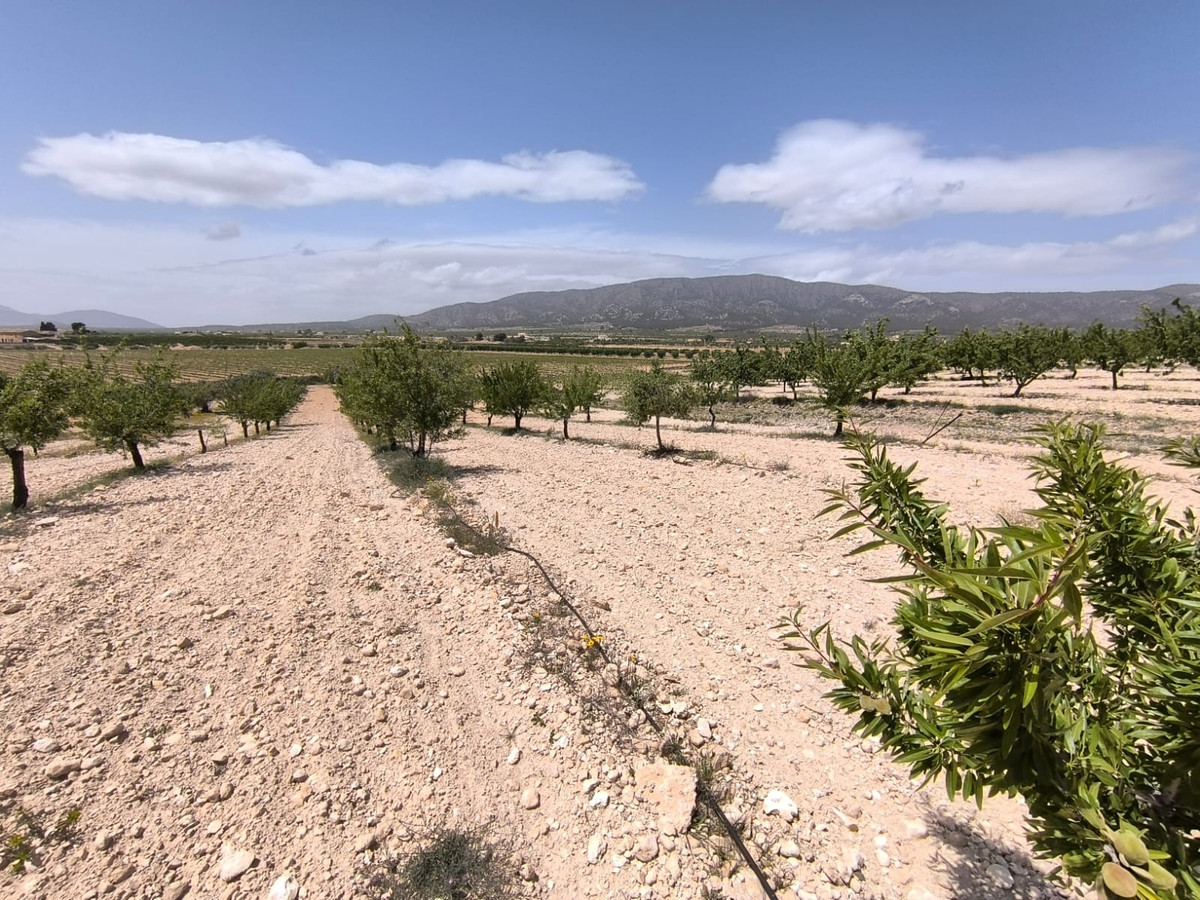 Se vende Terreno Rustico  en Costa Blanca, Alicante, España
